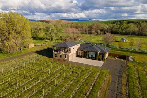 Welcome to Vineyard View!