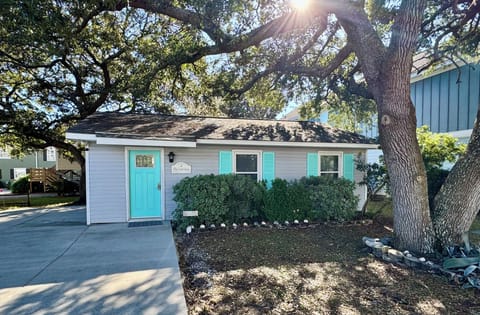 Cozy Beach Cottage nestled in beautiful Live Oaks.
