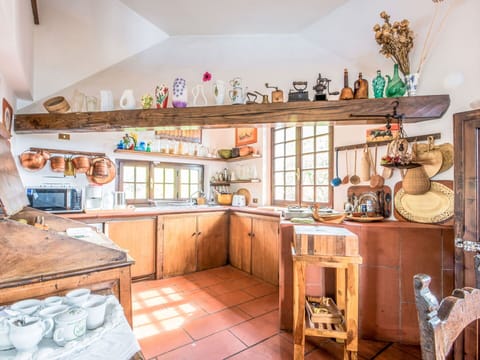 Property, Shelf, Shelving, Wood, Interior Design, Floor, Cabinetry, Kitchen, Wall, Window