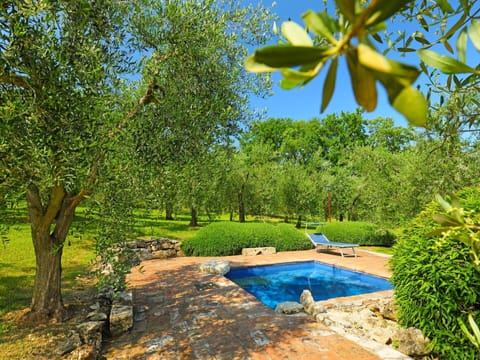 Natural Landscape, Nature, Swimming Pool, Property, Tree, Nature Reserve, Real Estate, Botany, Landscape, Estate