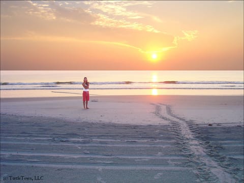 Actual Turtle Tracks on the beach in back of house- Eggs hatched months later.