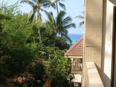 View Over Lanai Rail (yes, that's the ocean out there)