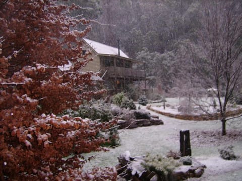Your Alpine Apartment in winter snow