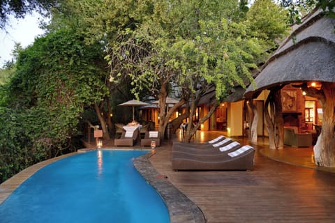 Outdoor pool, pool umbrellas, sun loungers