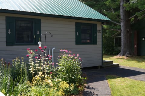 gardens and paved driveway