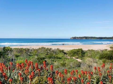 Beachfront view