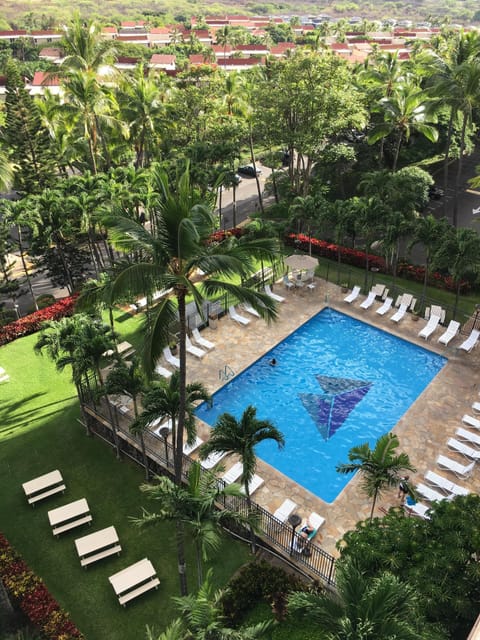 Pool and barbecue grill area!