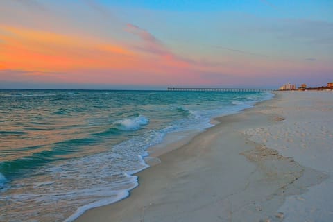 Come explore the gulf this literally is your view from the beach !