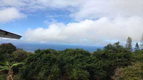 view from screened lanai