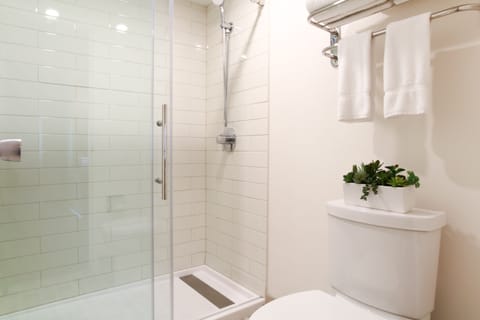 Eco-friendly toiletries, hair dryer, towels