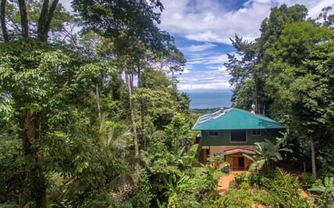 Rainforest & Ocean View Eco-Home