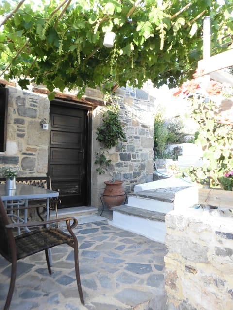 Your doorway under the vines, with steps leading up into terraced garden.