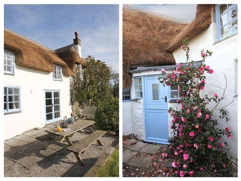 Cottage | Property grounds