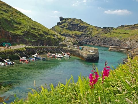 Cottage | Marina
