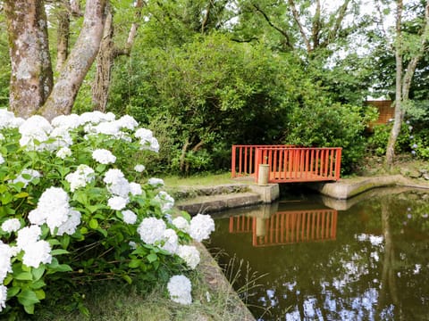 Cottage | Property grounds