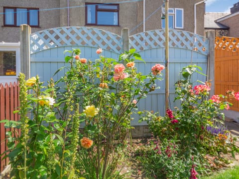 Cottage | Property grounds