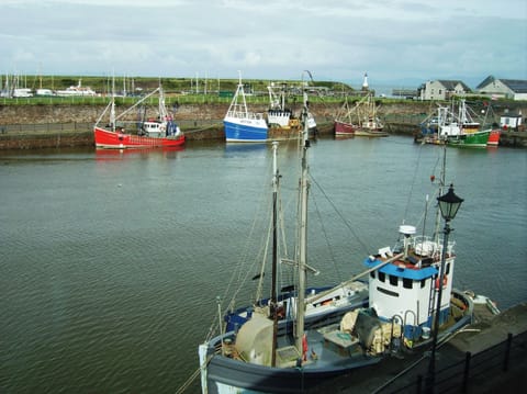 Cottage | Marina