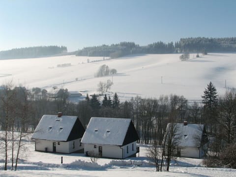 Sky, Snow, Property, Ecoregion, White, Light, Nature, Natural Landscape, Tree, Cloud