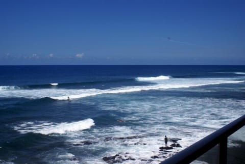 Toyabrown Penthouse -
 Cowbunga! Surf's Up 