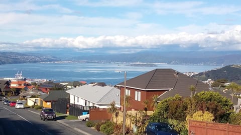 Stunning view of Wellington harbour