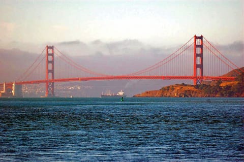 Photo taken from from window and what you will see from almost every room 