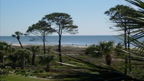View of the beach area
