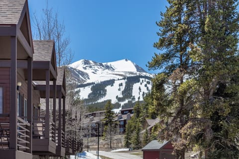 The Building And The Ski Area.
