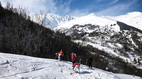 Enjoy fantastic skiing in the winter.