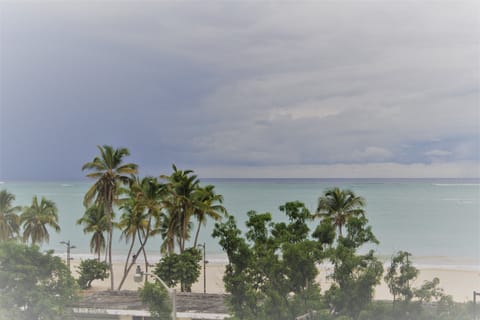 Best Urban Beach in the World!  by readers digest