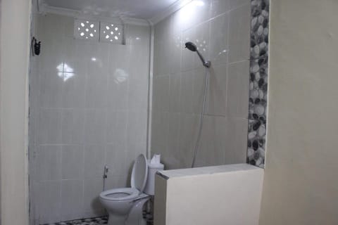 Shower, free toiletries, bidet, towels