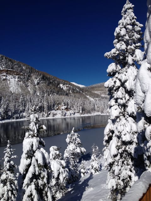Winter Wonderland view from upper deck.  Looking at Purgatory Ski resort.