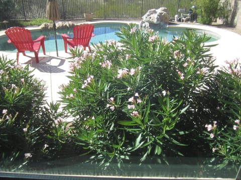 View of pool from Master Bedroom.