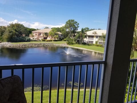 View from the Lanai 