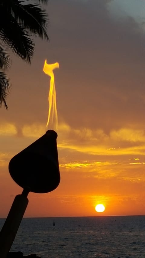 Beautiful sunset
