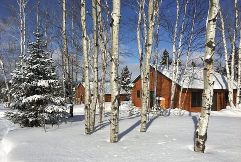 Walleye & Brook Trout Cabins