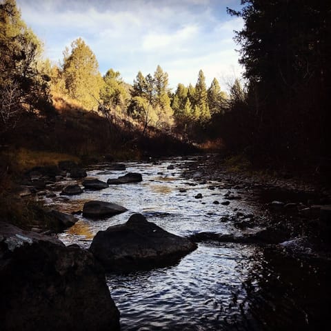 Pine Creek - 100 yards below cabin