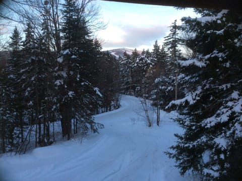 View of Mount Snow from Living room.