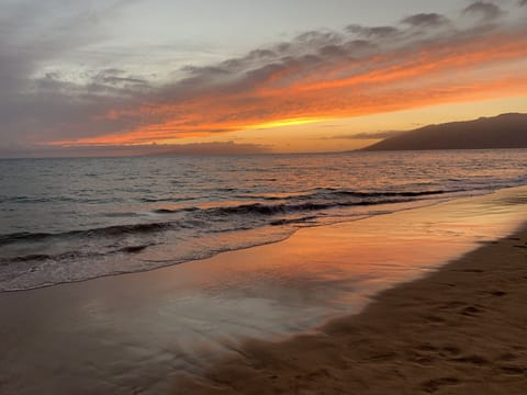 Beautiful Kamaole Beach right across from the condo
