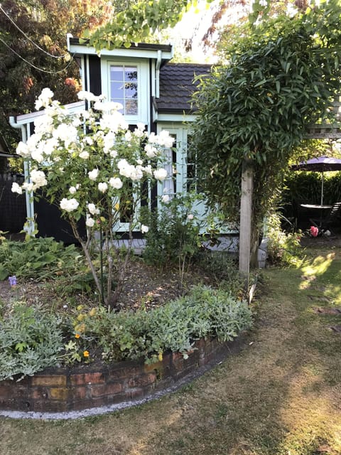 It is a summer garden.