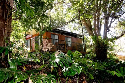 Standard Suite, 1 Bedroom, Non Smoking, Kitchen | WiFi (free)
