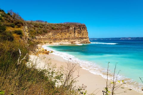 On the beach, white sand, free beach shuttle, beach towels