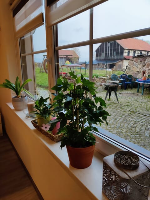 Comfort Double Room | Garden view