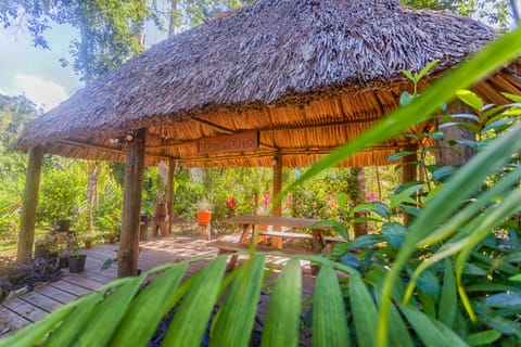 Our entrance palapa.