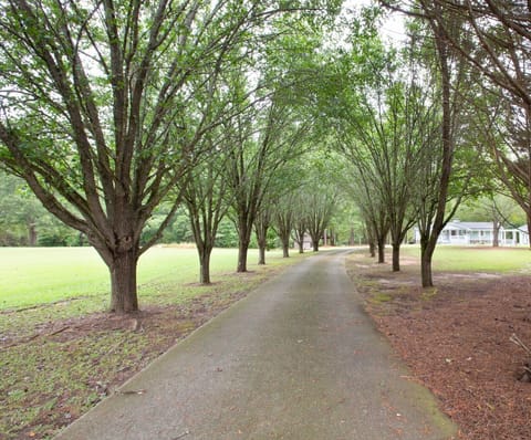 Private access road to the house, offers plenty of parking space and privacy