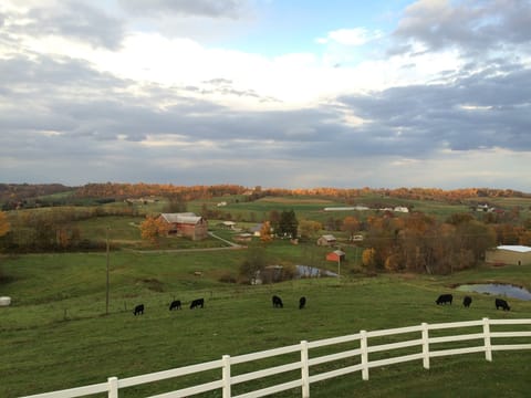 This is our view from the deck.