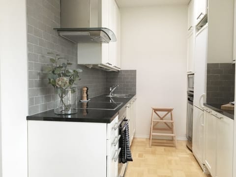 Premium Apartment, 1 Queen Bed, Non Smoking, City View | Private kitchen | Full-size fridge, microwave, oven, stovetop