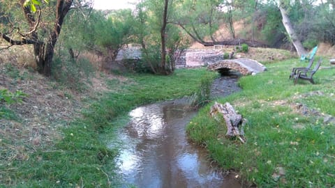 The creek sings a calming song