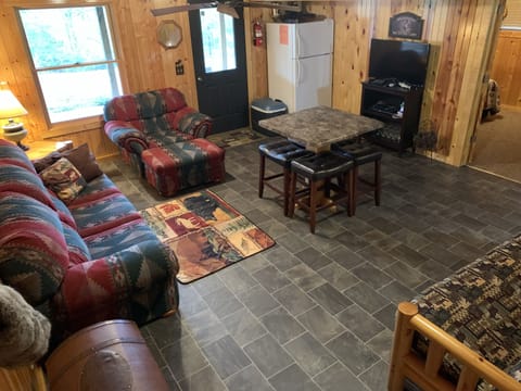 Lower level living room