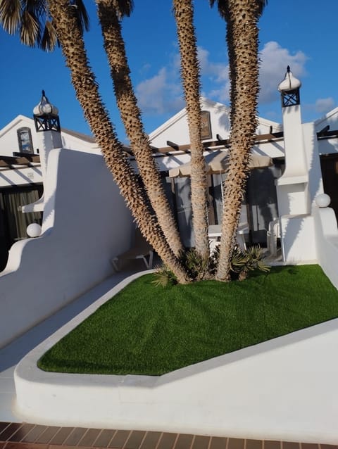 The front garden