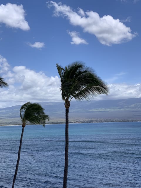 Tropical views of Kihei across the bay